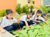 Các em học sinh trường Tiểu học Phú Lợi 2 chăm sóc vườn rau.